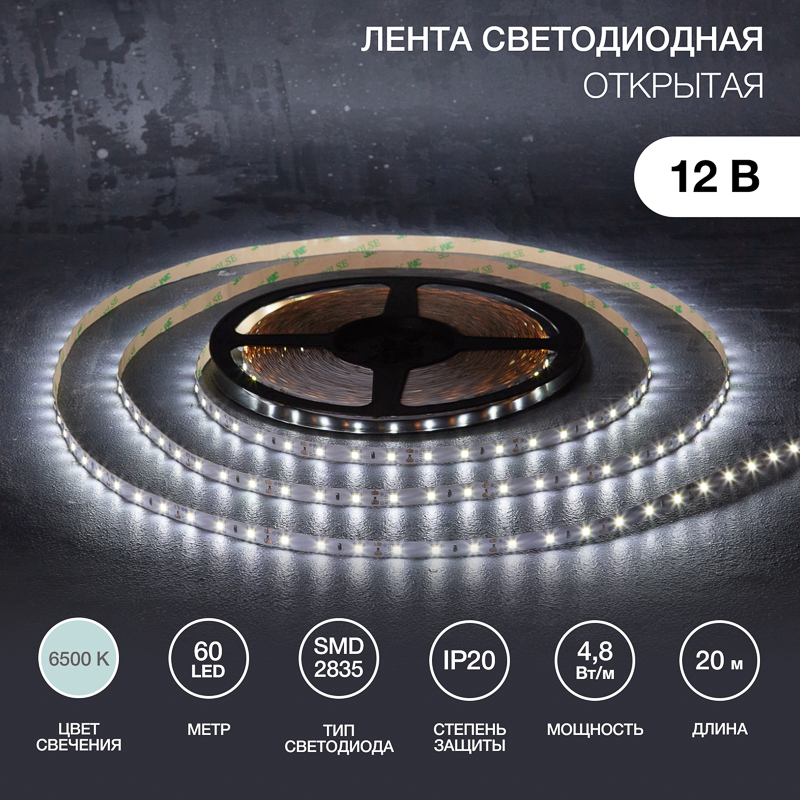   12, SMD2835, 4,8/, 60 LED/, 6500, 8, 20,    , IP20 LAMPER