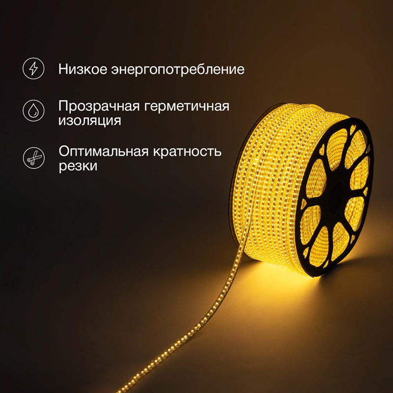   220, SMD3014, 240 LED/,  , 6,5x15, 100,    , IP67 NEON-NIGHT