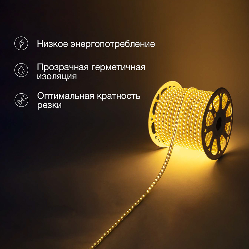   220, SMD5730, 38/, 120 LED/,  , 6,517, 100,   , IP67 NEON-NIGHT