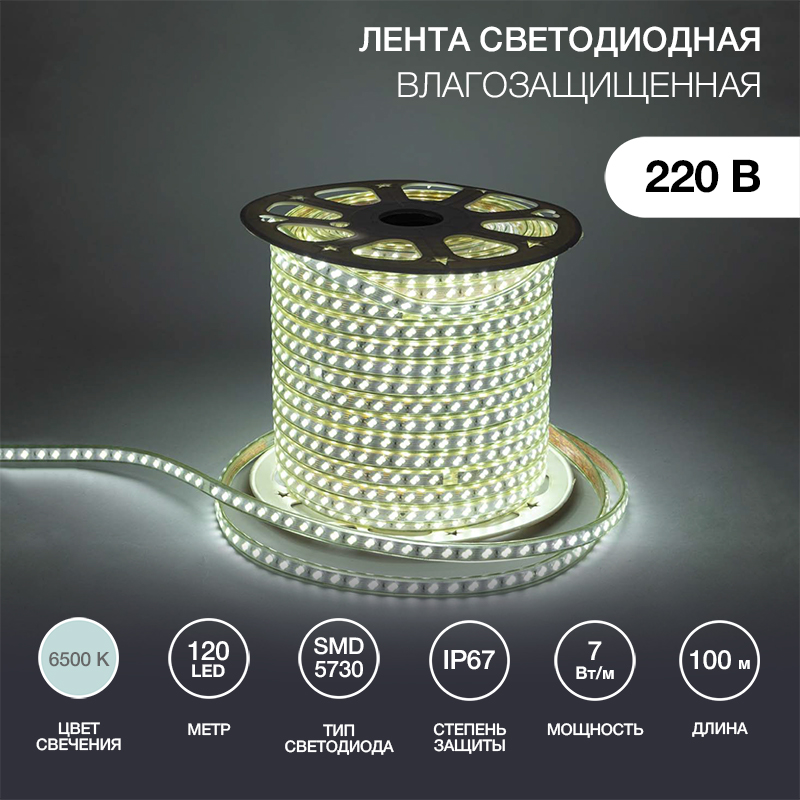   220, SMD5730, 7/, 120 LED/,  , 6,517, 100,   , IP67 NEON-NIGHT