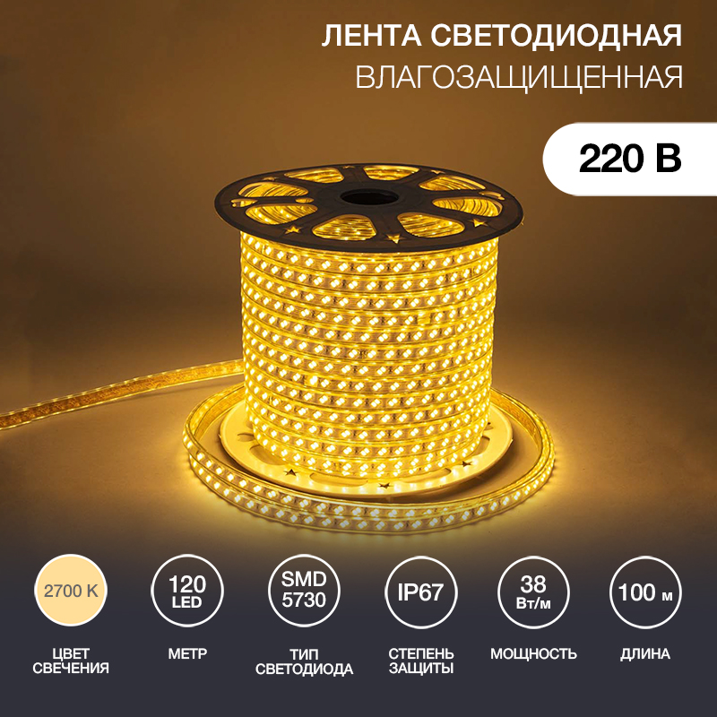   220, SMD5730, 38/, 120 LED/,  , 6,517, 100,   , IP67 NEON-NIGHT