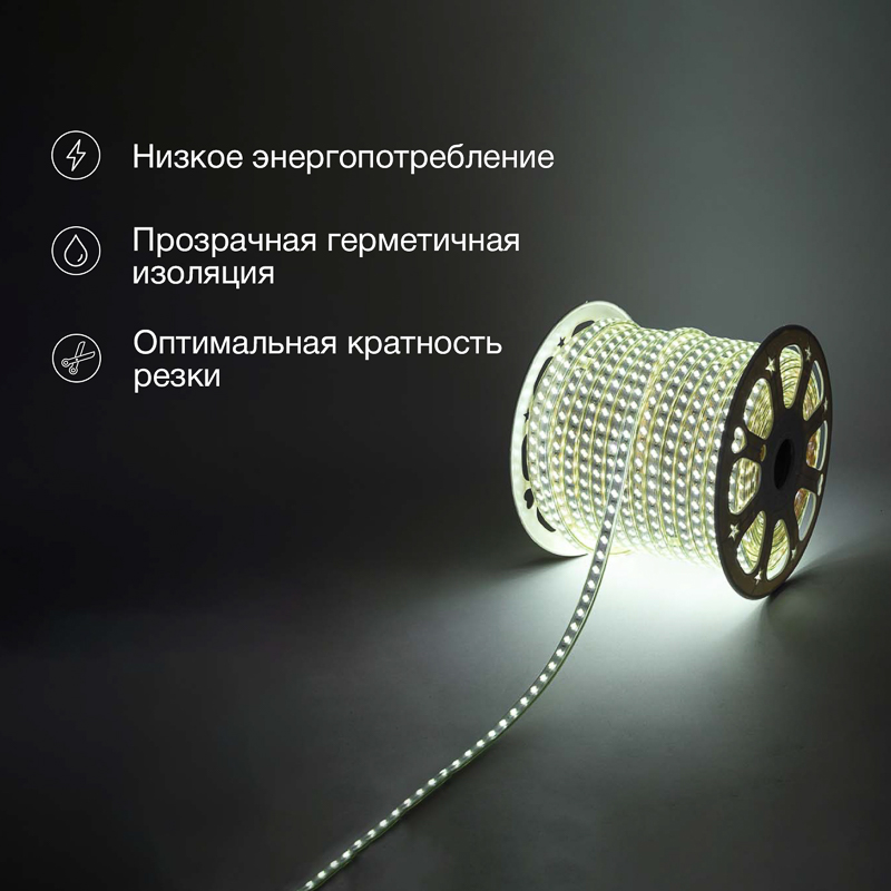   220, SMD5730, 7/, 120 LED/,  , 6,517, 100,   , IP67 NEON-NIGHT