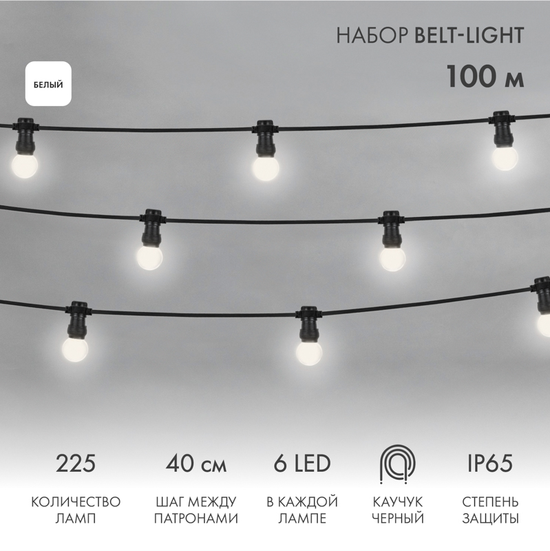   Belt-Light 2 , 100,  40, 225 LED ,   , 45 (6 LED) NEON-NIGHT