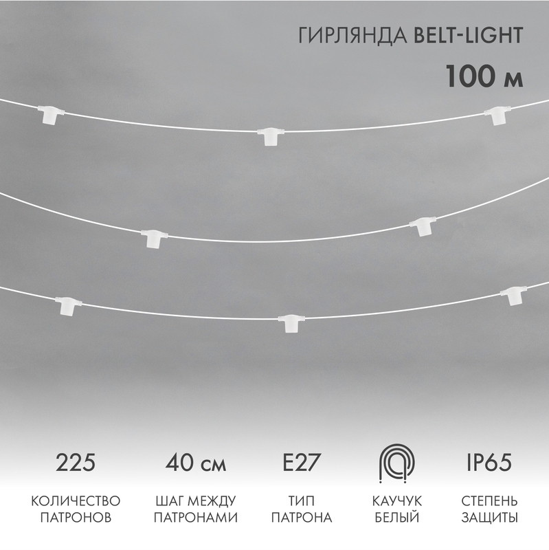  Belt-Light 2 , 100,  40, 225  27, IP65,  ,    NEON-NIGHT